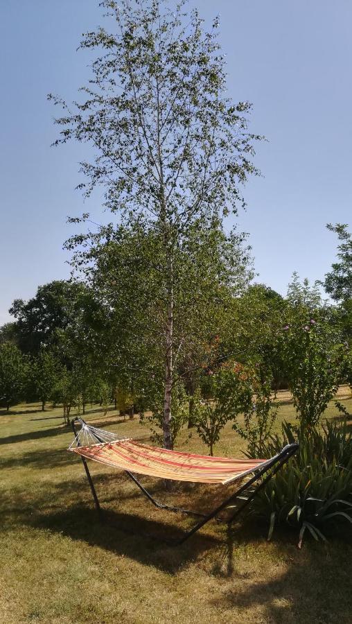 Le Mas de Carrié Bed and Breakfast Parisot  Esterno foto